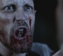 SPN_0741.jpg