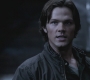 SPN_0783.jpg