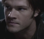 SPN_0821.jpg