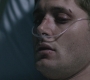 SPN_1068.jpg