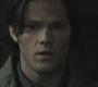 SPN_0402.jpg