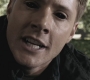 SPN_0913.jpg