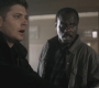 SPN_0939.jpg