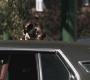 SPN_0949.jpg