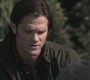 SPN_1057.jpg