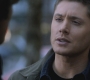Filename=SPN_0296.jpg
Filesize=71KiB
Dimensions=1280x720
Date added=Sep 29, 2021 SPN_0296.jpg