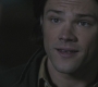 Filename=SPN_0326.jpg
Filesize=47KiB
Dimensions=1280x720
Date added=Sep 29, 2021 SPN_0326.jpg