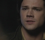 Filename=SPN_0381.jpg
Filesize=101KiB
Dimensions=1280x720
Date added=Sep 29, 2021 SPN_0381.jpg