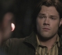 Filename=SPN_0389.jpg
Filesize=88KiB
Dimensions=1280x720
Date added=Sep 29, 2021 SPN_0389.jpg