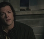 Filename=SPN_0690.jpg
Filesize=67KiB
Dimensions=1280x720
Date added=Sep 29, 2021 SPN_0690.jpg