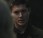 Filename=SPN_0770.jpg
Filesize=45KiB
Dimensions=1280x720
Date added=Sep 29, 2021 SPN_0770.jpg
