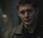 SPN_0771.jpg