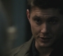 Filename=SPN_0777.jpg
Filesize=66KiB
Dimensions=1280x720
Date added=Sep 29, 2021 SPN_0777.jpg