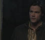 Filename=SPN_0790.jpg
Filesize=63KiB
Dimensions=1280x720
Date added=Sep 29, 2021 SPN_0790.jpg