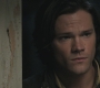 Filename=SPN_0835.jpg
Filesize=105KiB
Dimensions=1280x720
Date added=Sep 29, 2021 SPN_0835.jpg