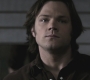 Filename=SPN_1090.jpg
Filesize=66KiB
Dimensions=1280x720
Date added=Sep 30, 2021 SPN_1090.jpg