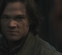 Filename=SPN_1066.jpg
Filesize=53KiB
Dimensions=1280x720
Date added=Sep 30, 2021 SPN_1066.jpg