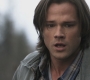Filename=SPN_1082.jpg
Filesize=86KiB
Dimensions=1280x720
Date added=May 14, 2010 SPN_1082.jpg