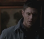 SPN_0051.jpg