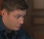 SPN_0711.jpg