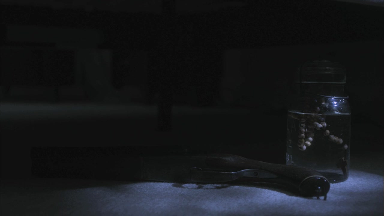 SPN_0095.jpg