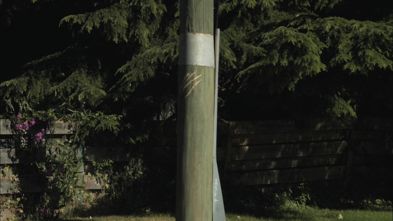 SPN_0247.jpg