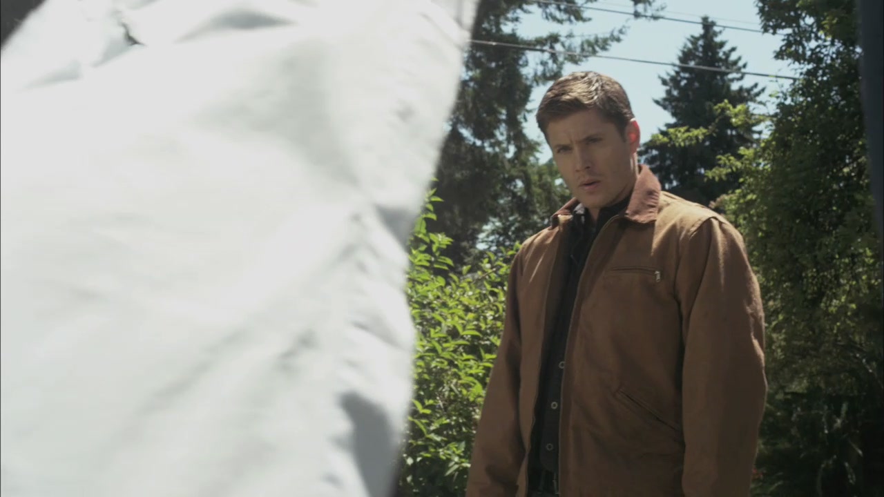 SPN_0262.jpg