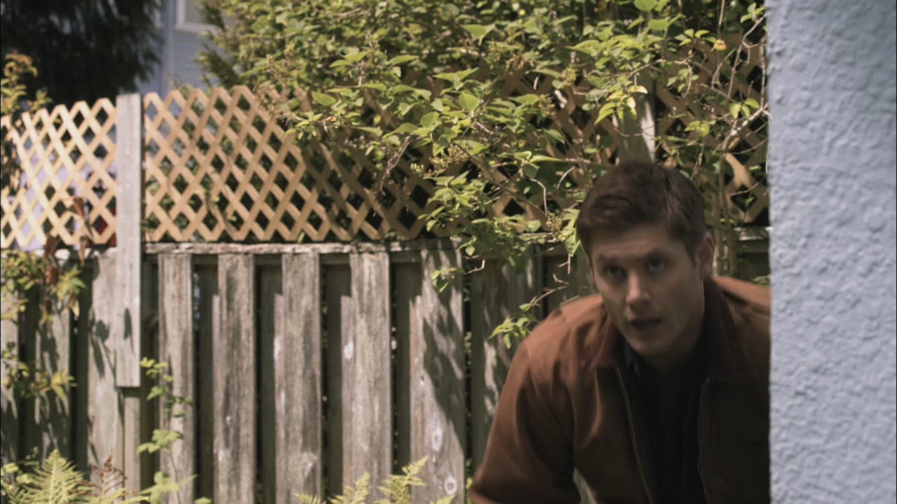 SPN_0321.jpg