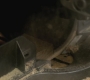 Filename=SPN_0044.jpg
Filesize=62KiB
Dimensions=1280x720
Date added=Sep 25, 2010 SPN_0044.jpg