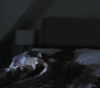 Filename=SPN_0087.jpg
Filesize=58KiB
Dimensions=1280x720
Date added=Sep 25, 2010 SPN_0087.jpg