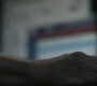 SPN_0218.jpg