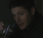 SPN_0223.jpg