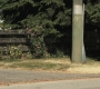SPN_0245.jpg