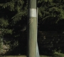 SPN_0247.jpg