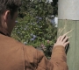 SPN_0258.jpg