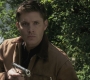 SPN_0274.jpg