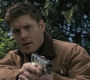 SPN_0279.jpg