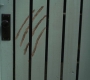 SPN_0280.jpg