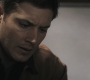 SPN_0378.jpg