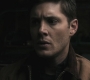 SPN_0395.jpg