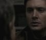 SPN_0410.jpg