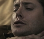 SPN_0445.jpg