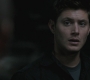 SPN_0602.jpg