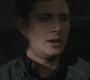 SPN_0787.jpg