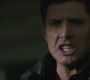 SPN_0811.jpg