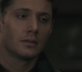 SPN_0849.jpg