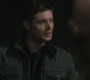 SPN_0916.jpg