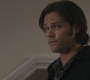 SPN_0935.jpg