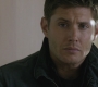 SPN_0966.jpg