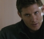 SPN_0985.jpg